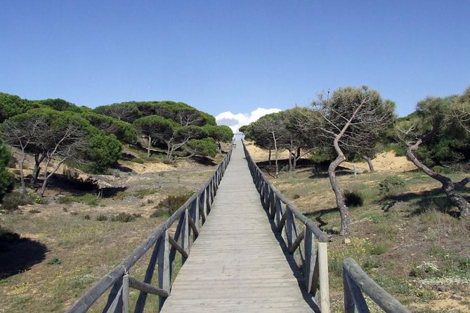 Donana National Park Horse or 4x4 Riding Day Trip - Common Questions