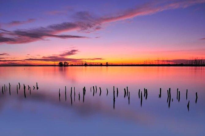 Donana National Park Horse or 4x4 Riding Day Trip - The Sum Up