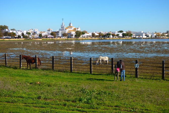 Doñana National Park in 4x4 and El Rocío - Doñana National Park: An Overview
