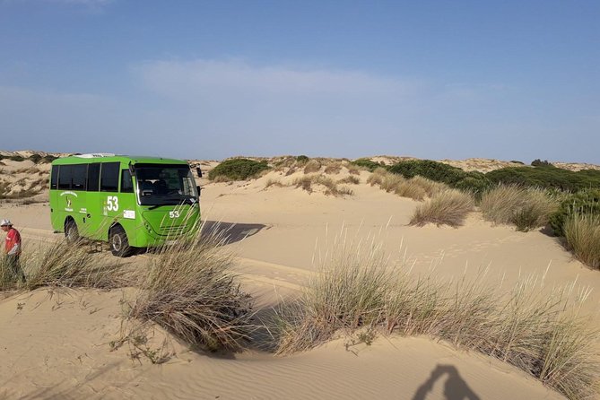 Doñana National Park in 4x4 and El Rocío - Wildlife and Nature in Doñana National Park