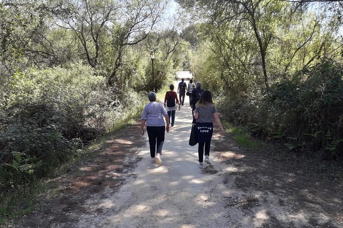 Doñana National Park in 4x4 and El Rocío - Activities and Attractions in El Rocío