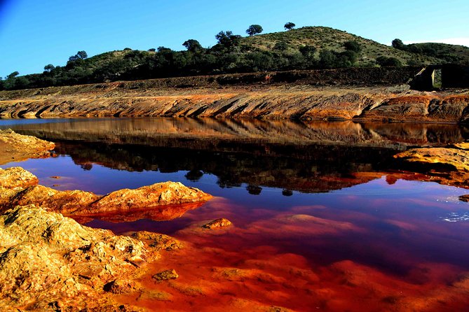 Doñana Natural Park Full-Day Tour From Seville - Highlights of the Full-Day Tour