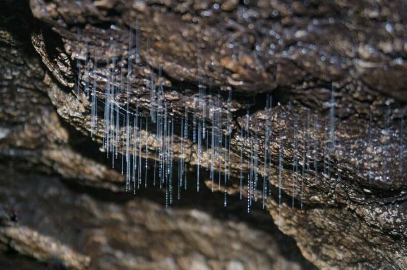 Dong Hoi: Paradise Cave & Phong Nha Cave Full-Day Tour - Good To Know