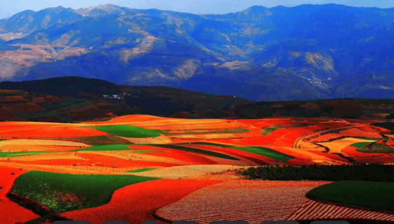 Dongchuan red earth start from Kunming - An In-Depth Look at the Dongchuan Red Earth Tour
