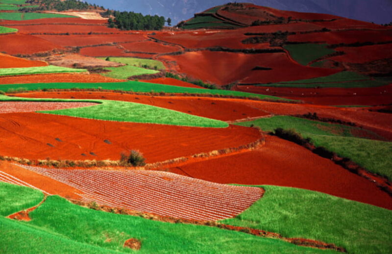 Dongchuan red earth start from Kunming - Who Will Love This Tour?