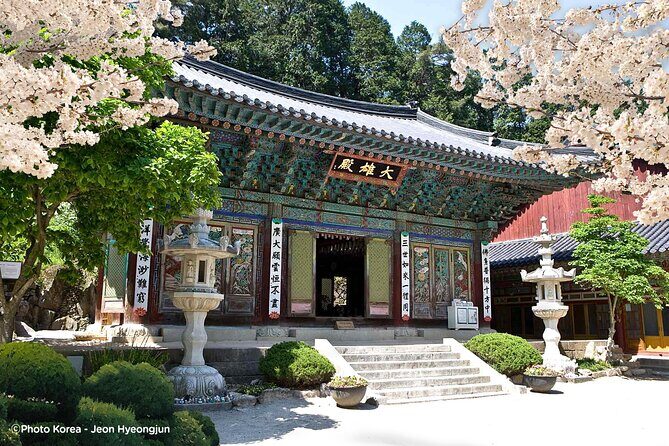 Donghaksa Temple Cherry Blossom and Jeonju Hanok Village - Good To Know
