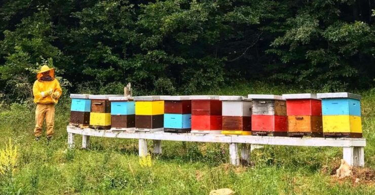 Donji Lapac: Latibula Family Farm Tour, Hiking, Foraging - Tour Details