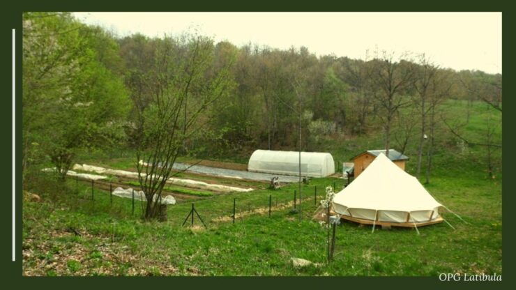 Donji Lapac: Latibula Family Farm Tour, Hiking, Foraging - Experience Highlights