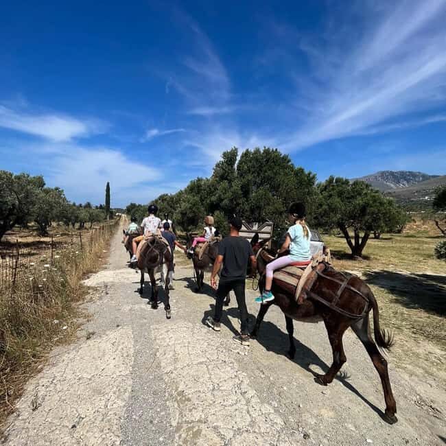 Donkey Ride - Cretan Country - Discovering the Charm of Crete’s Countryside