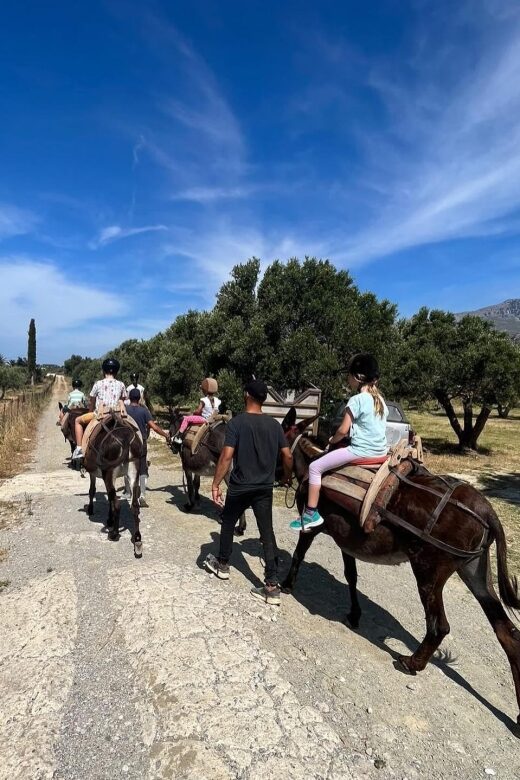 Donkey Ride - Cretan Country - Who Will Love This Experience?