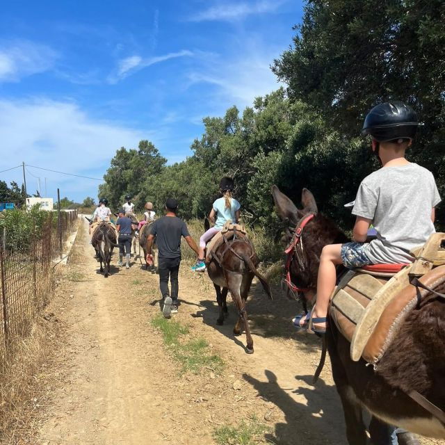 Donkey Ride - Cretan Country - Good To Know