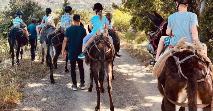 Donkey Ride - Cretan Country - Pricing and Duration