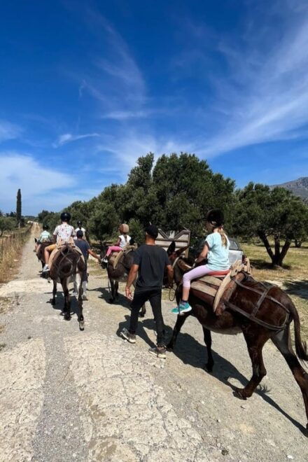 Donkey Ride - Cretan Country - Important Directions and Preparation