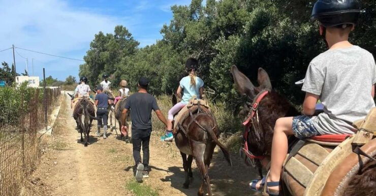 Donkey Riding - Brief & Easy Ride - Language Options and Group Size