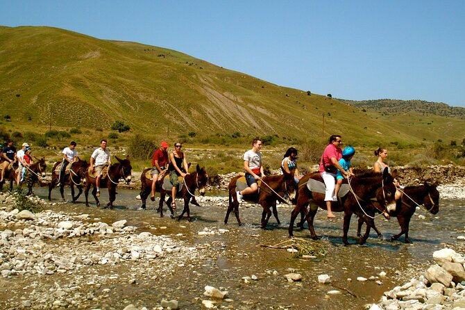 Donkey Safari and Village Culture Night From Pafos and Limassol - What To Expect