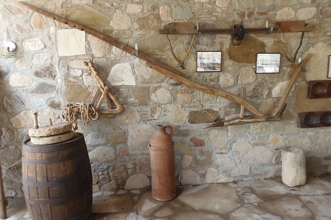 Donkey Safari and Village Culture Night From Pafos and Limassol - The Sum Up