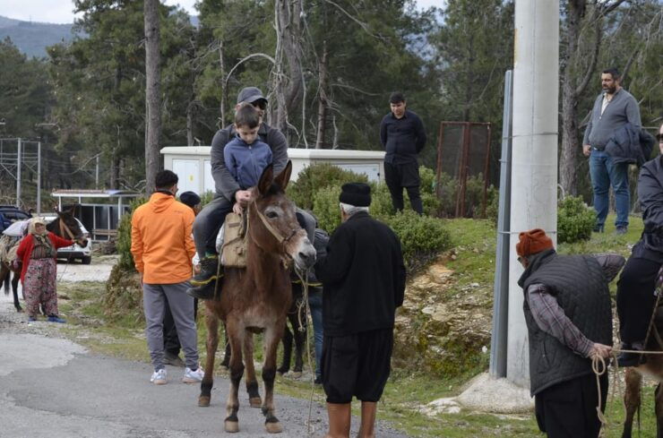 Donkey Safari and Village Tour With Lunch - Highlights of the Tour