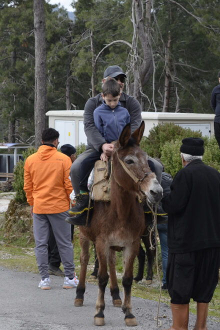 Donkey Safari and Village Tour With Lunch - Cultural Insights