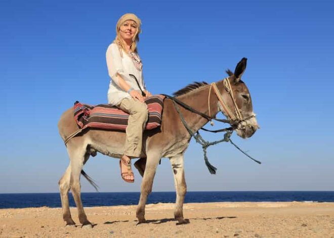Donkey Safari and Village Tour With Lunch - Scenic Beauty