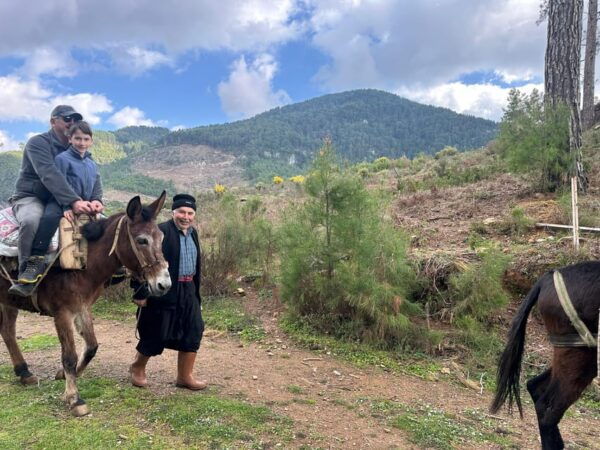 Donkey Safari and Village Tour With Lunch - Local Cuisine
