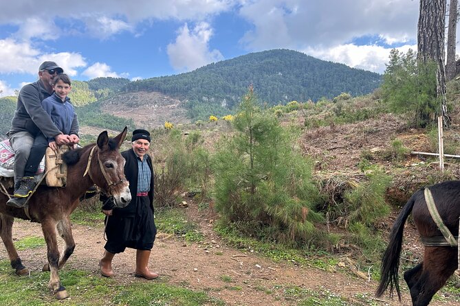 Donkey Safari and Village Tour With Lunch - The Sum Up