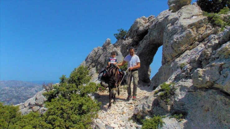 Donkey Walk in Suttaterra Forest From Dorgali - Experience Highlights