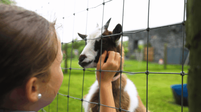 Doolin Cave Tour: Experience Europe's Largest Stalactite - FAQ