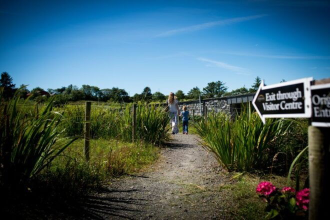 Doolin Cave: Underground Stalactite Tour - Exploring the Underground Environment