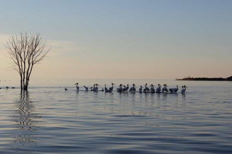 Door County: Millionaires Row & West Islands Cruise - Good To Know