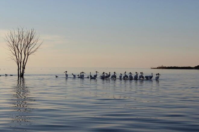 Door County: Millionaires Row & West Islands Cruise - Scenic Shoreline Homes