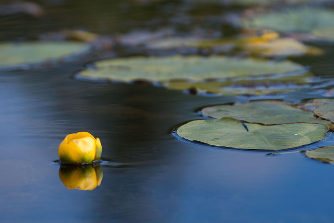 Door County Wetlands Kayak Tour - Cancellation Policy