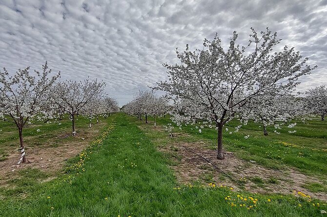 Door Countys Northern Peninsula: A Self-Guided Drive - Who Will Love This Tour?