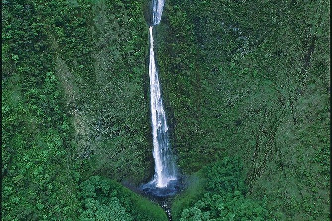 Doors-Off Hawaii Helicopter Tour of Kohala Valleys and Waterfalls From Waimea - The Sum Up
