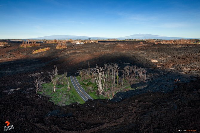 Doors-Off Helicopter Lava and Rainforests Adventure From Hilo - Customer Reviews