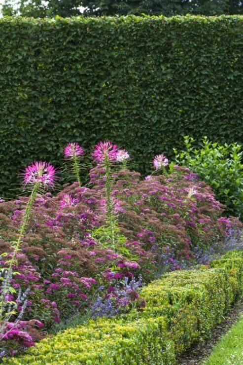 Dordogne: Visit to the Castle of Losse and Its Gardens - Inclusions and Important Information