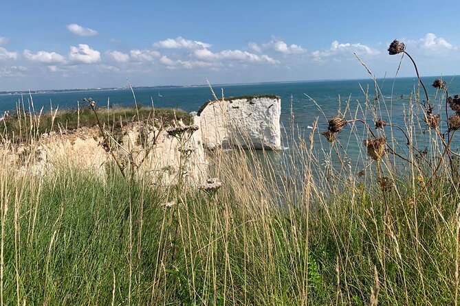 Dorset Electric Bike Tour: Poole, Bournemouth, & Christchurch - Cancellation Policy