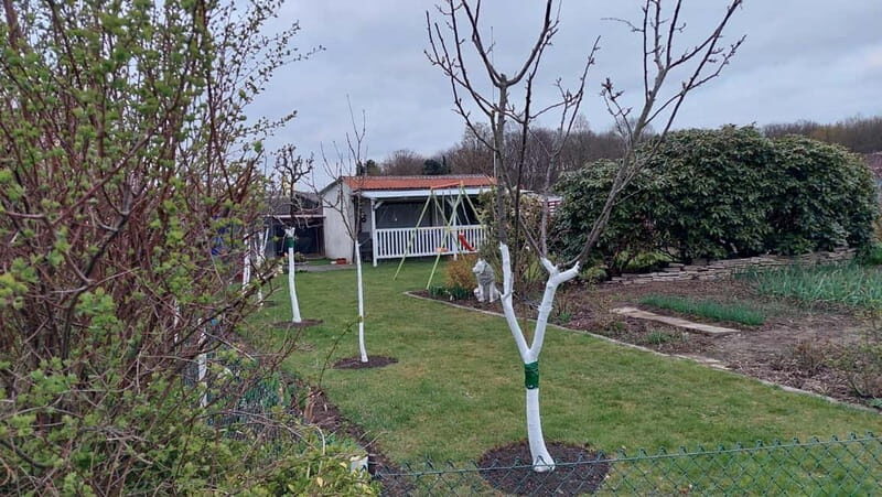 Dortmund: Allotment Garden Tour - A Closer Look at the Dortmund Allotment Garden Tour  