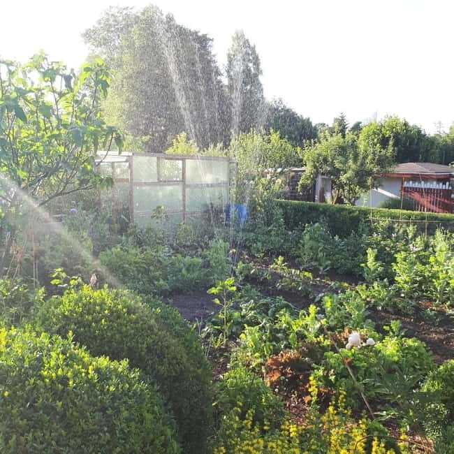 Dortmund: Allotment Garden Tour - FAQ  