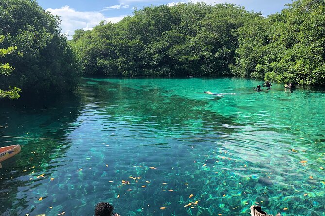 Dos Ojos and Soliman Bay Private Snorkel Excursion  - Tulum - Meeting and Pickup Information