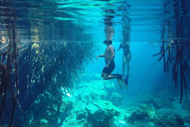 Dos Ojos and Soliman Bay Private Snorkel Excursion  - Tulum - Cenote Dos Ojos