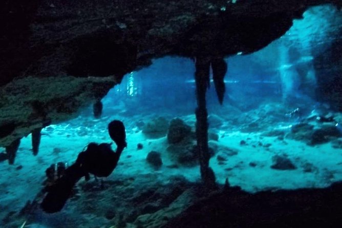 Dos Ojos Cenote Cavern Dive- The Barbie Line and The Bat Cave - Inclusions