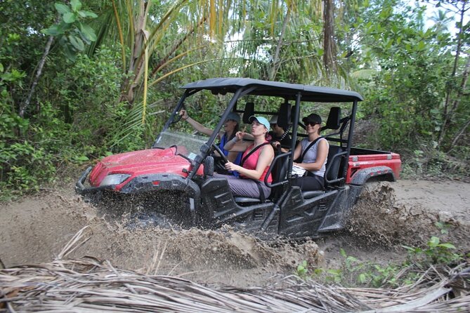Double Buggy From Samaná - Location Details