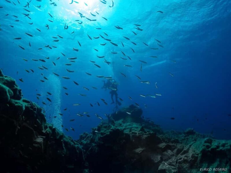 Double dive in Santa Maria Island - Azores - Exploring the Details of the Santa Maria Double Dive