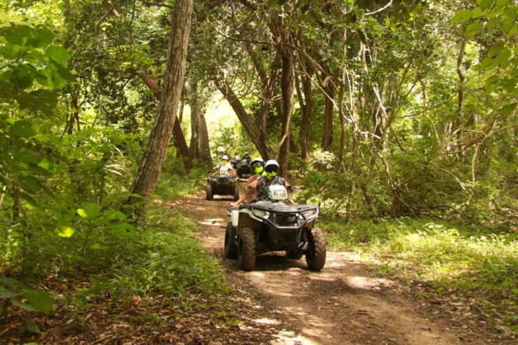 Double or Single Rider ATV Jungle Tour - Tour Duration and Guide Availability