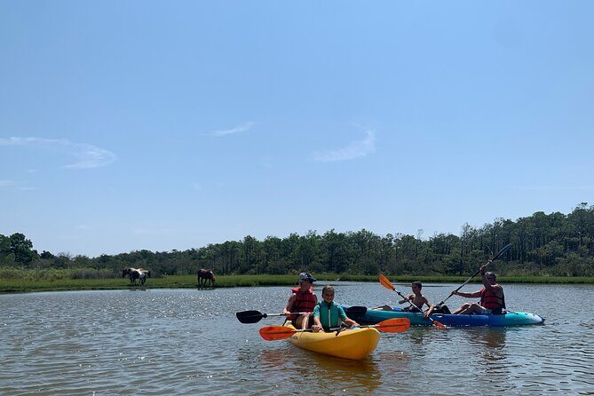 Double Sit on Top Kayak Rental at Assateague Island, MD - Who This Experience Is Perfect For