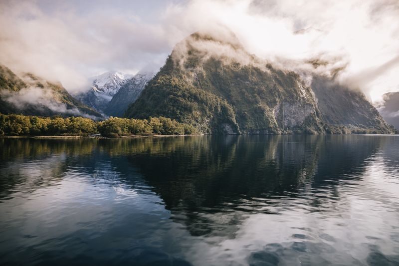 Doubtful Sound Wilderness Cruise Guided Day Tour - What the price buys, and what it does not