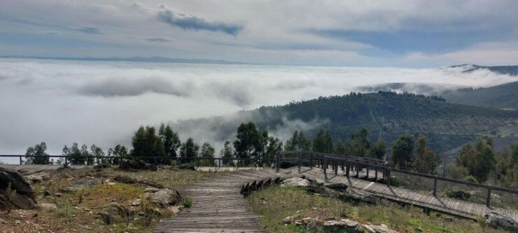 Douro 4x4: Visit to the Past With Wine Tasting - Tour Overview