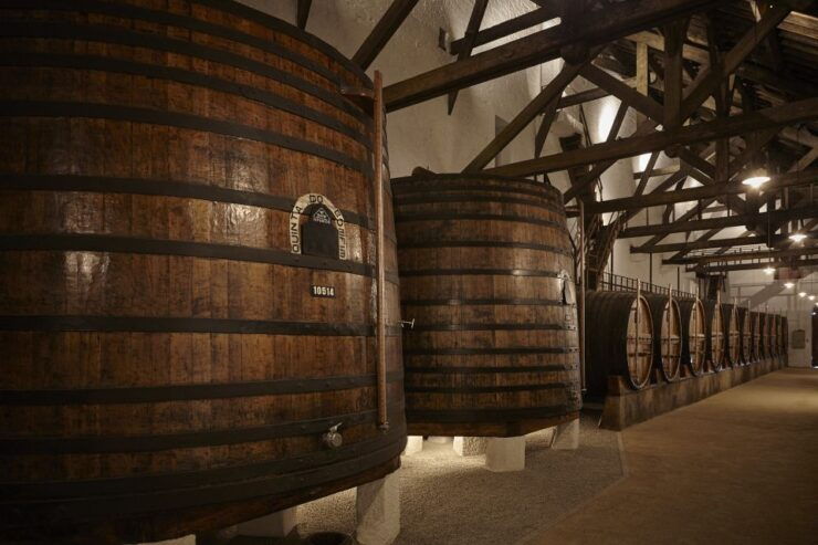 Douro and Port Tasting Quinta Do Bomfim - Good To Know