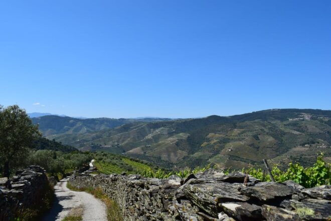 Douro Authentic Standard - Off-road Adventure