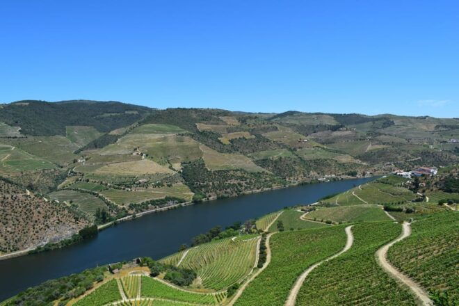 Douro Authentic Standard - Winery Visit and Tasting